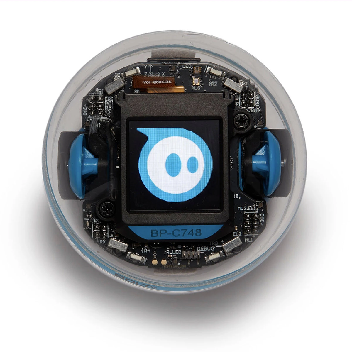 A single Sphero BOLT+ coding robot with a screen inside its transparent spherical shell.